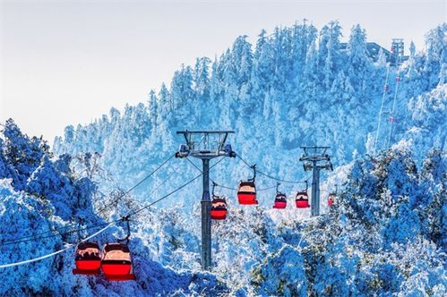 瓦屋山高山區(qū)重新開放 特定群體三年免費(fèi)游覽邀約