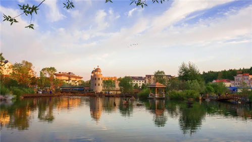 海外華媒走進(jìn)長白山 感受粉雪魅力，體驗(yàn)景區(qū)管理之精